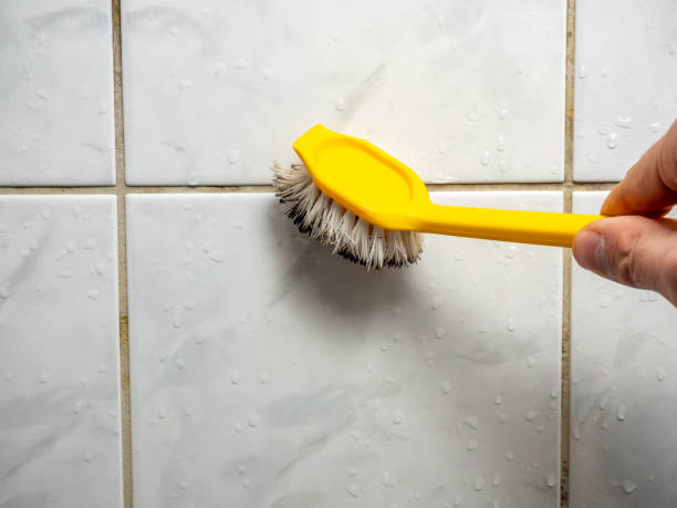 Best Professional Mold Removal  in Brewerton, NY