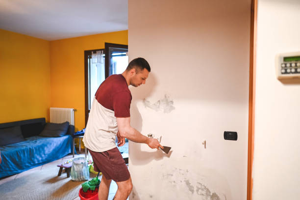 Best Toxic Mold Removal  in Brewerton, NY